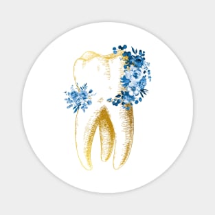 Human tooth Magnet